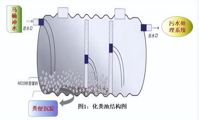 胰酪大豆胨怎么讀，胨怎么讀音？