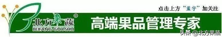 果樹苗批發(fā)基地三年苗各種苗大全價格，哪里有果樹苗批發(fā)基地？