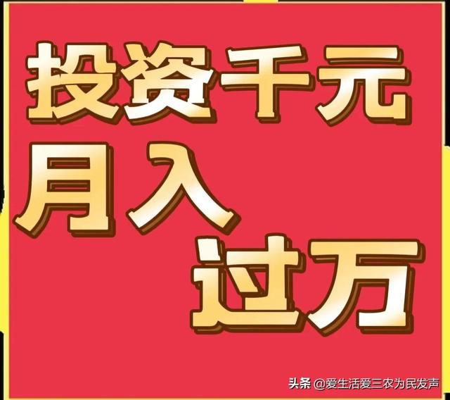 跑江湖地?cái)傂庐a(chǎn)品，跑江湖地?cái)傂庐a(chǎn)品怎么做