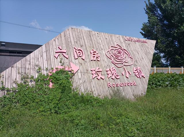 沈陽花卉批發(fā)基地在哪里，沈陽花卉批發(fā)基地在哪里??？