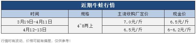 牛蛙價格現(xiàn)在多少錢一公斤，鮮活牛蛙批發(fā)價多少錢一斤？