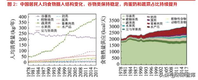 長沙凍貨批發(fā)市場進貨渠道，長沙凍貨批發(fā)市場進貨渠道有哪些？