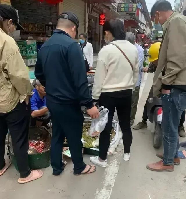 水草批發(fā)市場進貨渠道在哪里，水草商家進貨渠道？