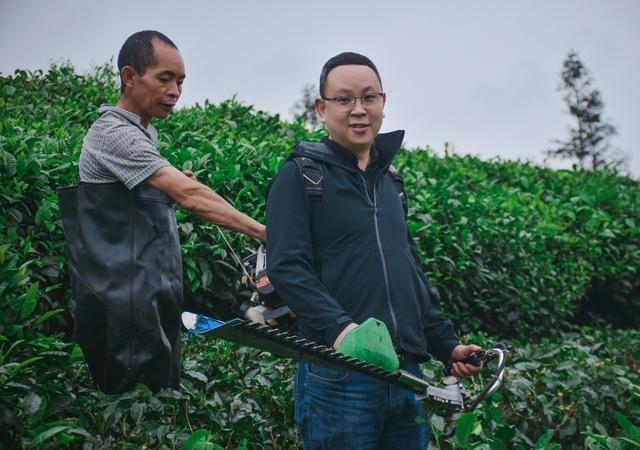 淘寶賣(mài)茶葉貨源哪里找，淘寶賣(mài)茶葉貨源哪里找的？