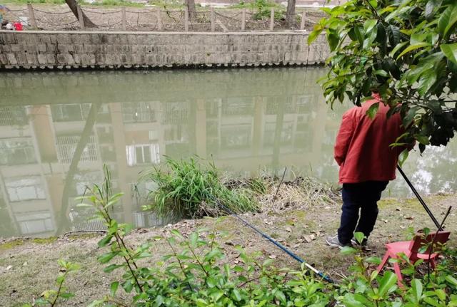 淘寶拼多多熱銷(xiāo)魚(yú)籠餌料貨源拿貨是真的嗎，淘寶拼多多熱銷(xiāo)魚(yú)籠餌料貨源拿貨是真的嗎可信嗎？