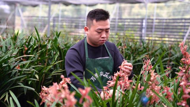 淘寶拼多多熱銷朝蘭貨源拿貨是真的嗎，淘寶拼多多熱銷朝蘭貨源拿貨是真的嗎安全嗎？